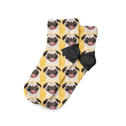 Carlino Pug